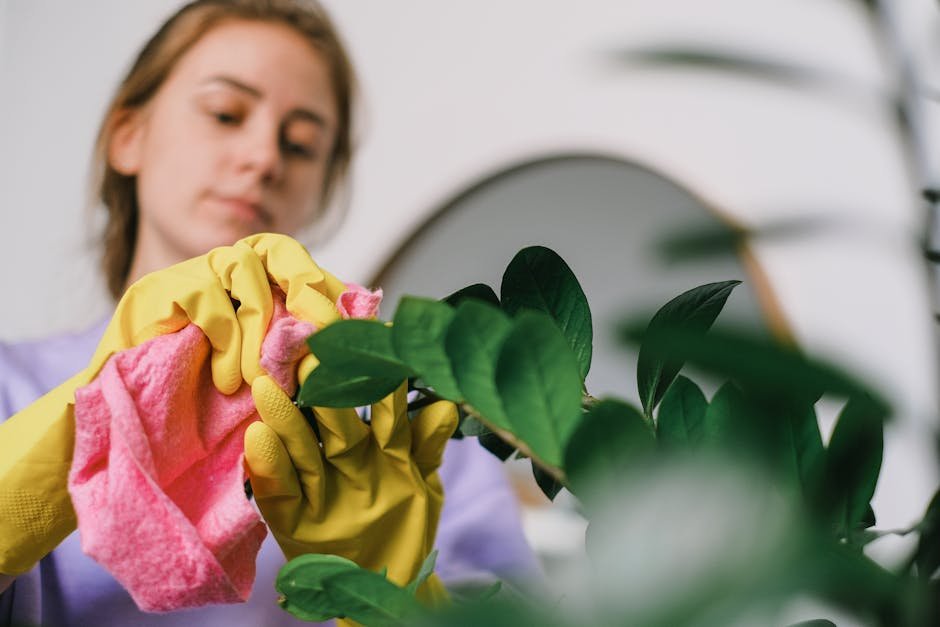 Home A woman cleans indoor plant leaves with gloves and cloth, focusing on plant care.